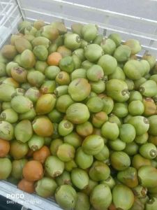 Fresh Tender Coconut
