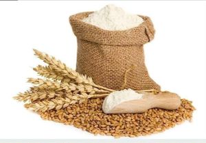 Natural Whole Wheat Flour