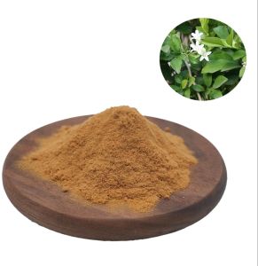 Bacopa Extract