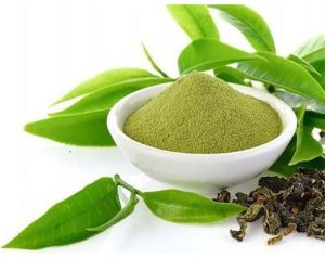 Green Tea Extract