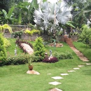 Farmhouse Garden Maintenance Service