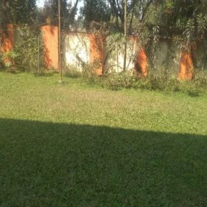 Garden Maintenance Services
