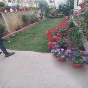 Home Gardening Services