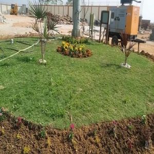 Office Garden Maintenance Services