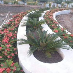 Roof Top Border Garden Landscaping Services
