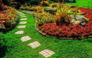 Tropical Garden Landscaping Services