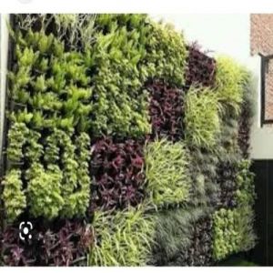 Vertical Landscape Gardening Services