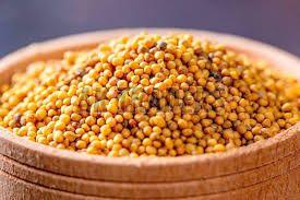 Yellow Mustard Seeds
