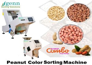 Ground Nut Color Sorter