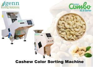 Whole Cashew  Color Sorter Machine