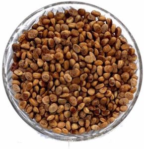 A Grade Chironji Seed