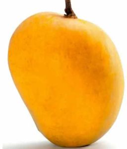 A Grade Fresh Alphonso Mango