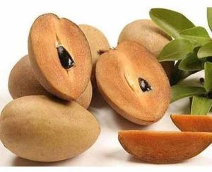 A Grade Fresh Chikoo