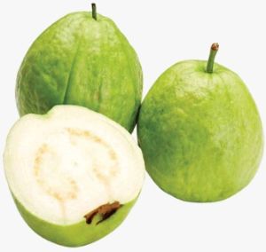 A Grade Fresh Guava