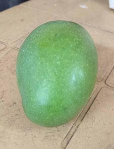A Grade Fresh Kalapadi Mango