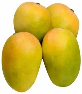 A Grade Fresh Kesar Mango