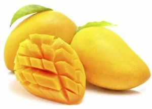 A Grade Fresh Safeda Mango