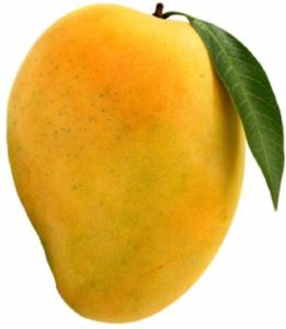 A Grade Fresh Suvarnarekha Mango