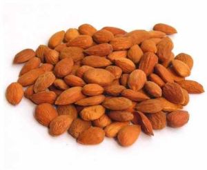 A Grade Gurbandi Almond Nut