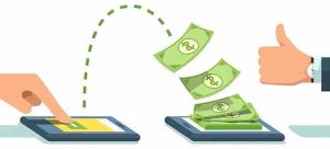 Domestic Money Remittance