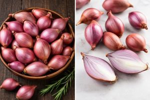 A Grade Small Pink Onion