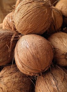 A Grade Whole Coconut