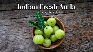 Indian Fresh Amla