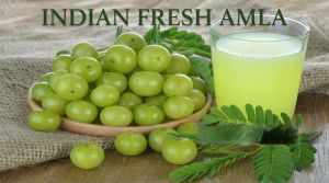 Indian Fresh Amla