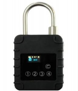 GPS Based Cargo Locking Systems