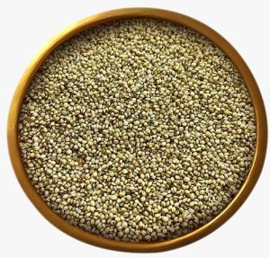 Browntop Millet Seeds