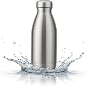 Stainless Steel Bottle