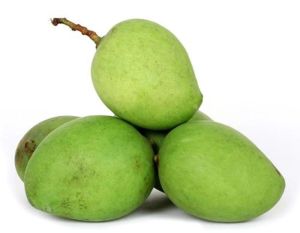 Fresh Raw Mango for Pickle
