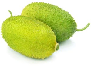 Fresh Spiny Gourd