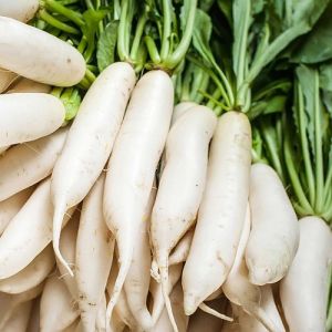 Fresh White Radish