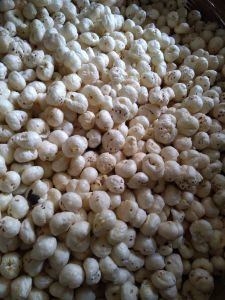 6 Suta Phool Makhana