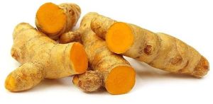 Fresh Yellow Turmeric Finger