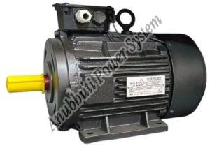 Induction Electric Motor