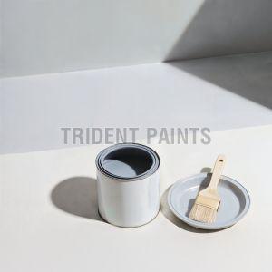Grey Surface Base Primer
