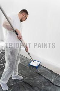 High Build Epoxy Coating Paint