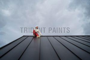 Tile Roof Waterproof Coating