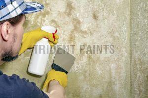 Wall Damp Proof Coating