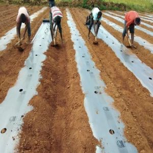 Agriculture Mulching Film