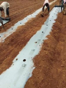 Agriculture Mulching Film