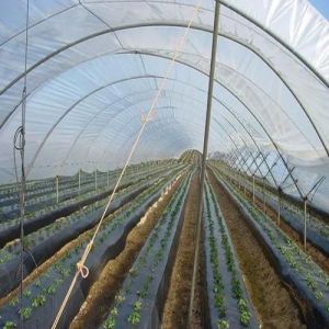 Farming Mulching Film