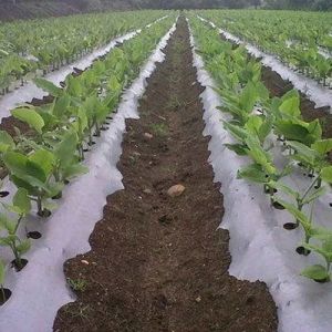Horticultural Mulching Film