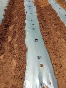 Plastic Mulching Film