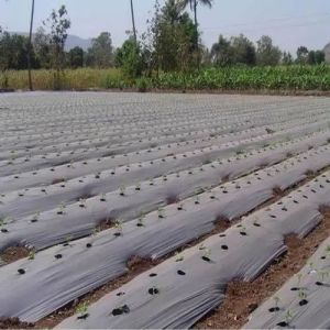 Plastic Mulching Film