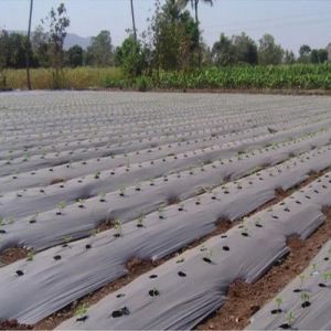UV Stabilized Mulching Film