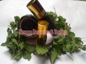 Kasturi Divine Aroma Paste