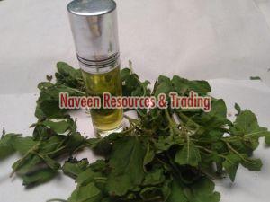 Tulsi Herbal Oil